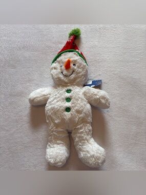 Build-A-Bear Flurry Friends Snowboy Bear